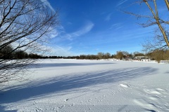 wehnerschneeD21